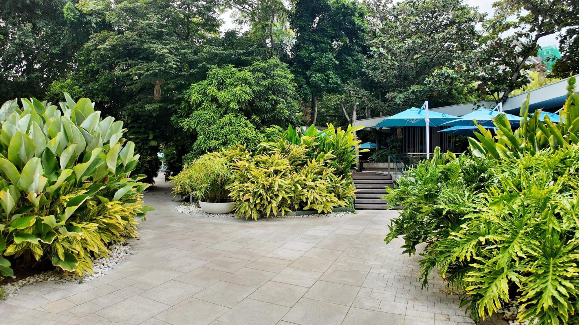 Dominiks Stylish Resort Gem Ocean View Pool Queen Bed At Tambuli 8 Floor Fast Wifi Lapu-Lapu City Eksteriør billede